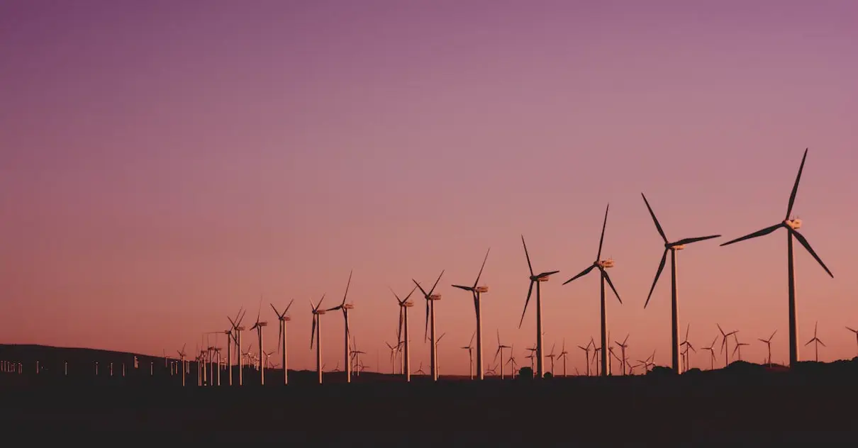 atividades sobre o meio ambiente para educação infantil