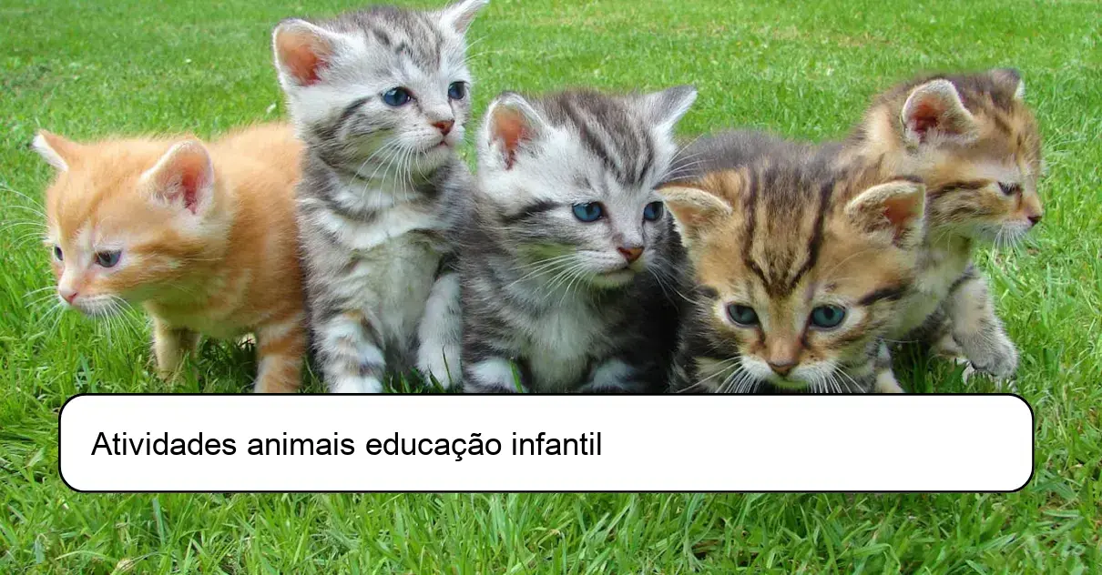 Atividades animais educação infantil