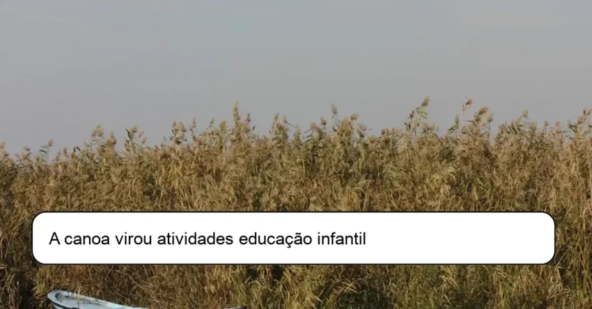 A canoa virou atividades educação infantil